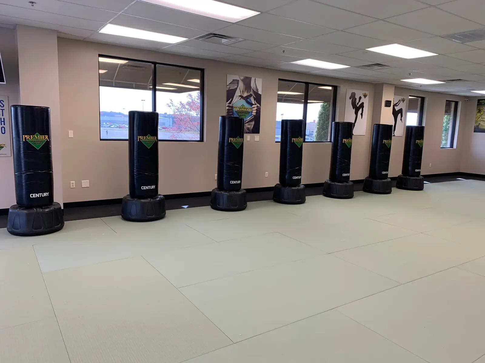 Premier Martial Arts