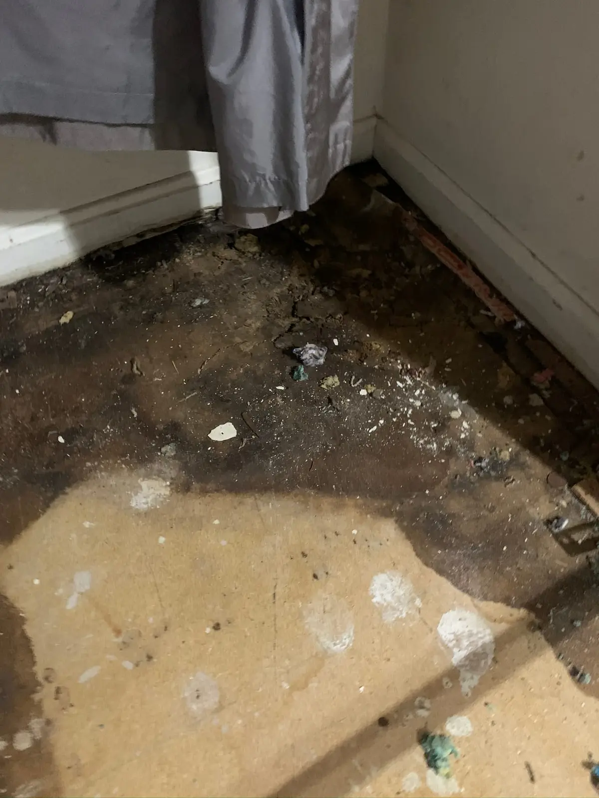 Whole-House Wood-Look Plank and Slate-Look Tile — Demo photo 2