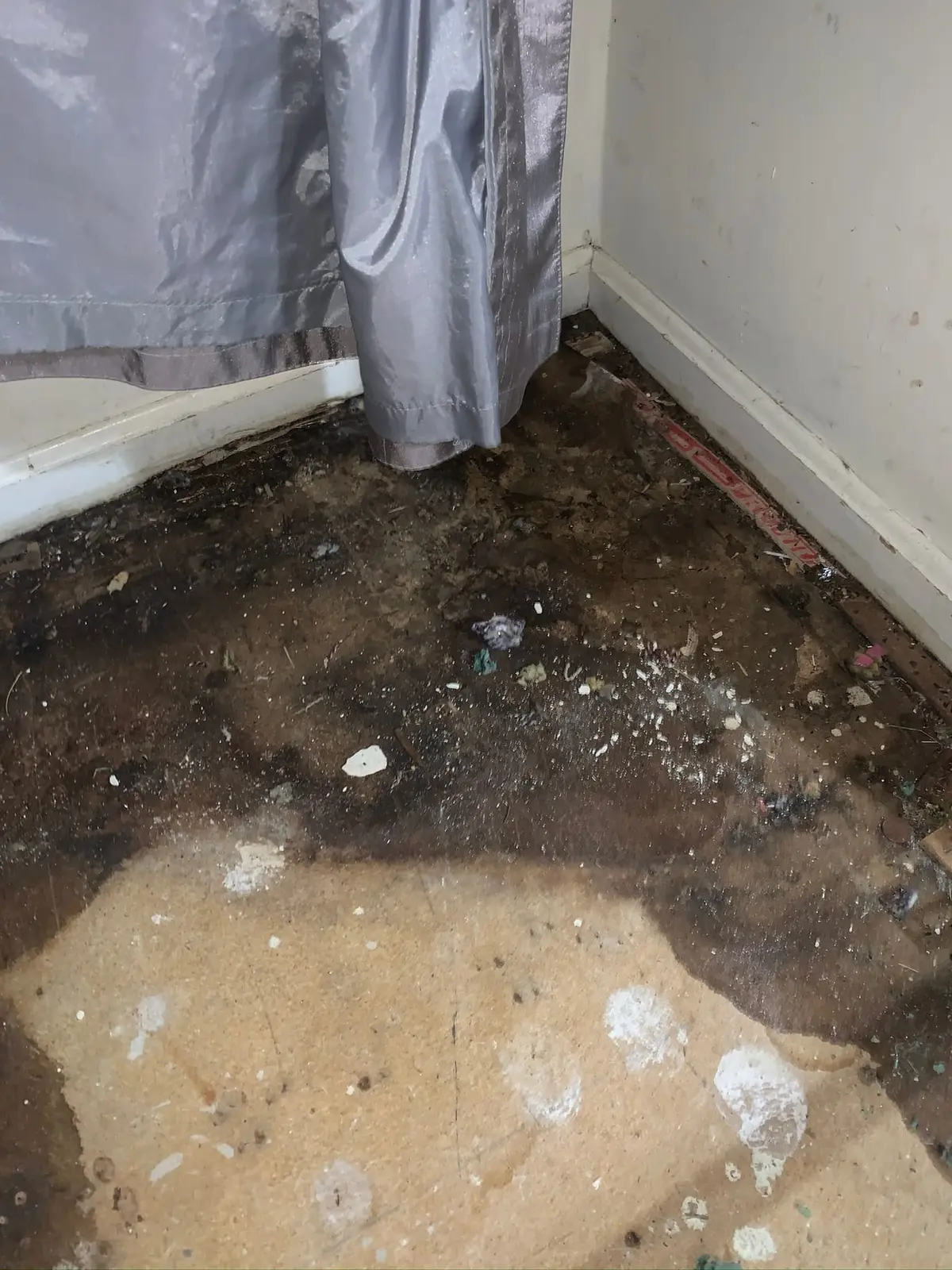 Whole-House Wood-Look Plank and Slate-Look Tile — Demo photo 3