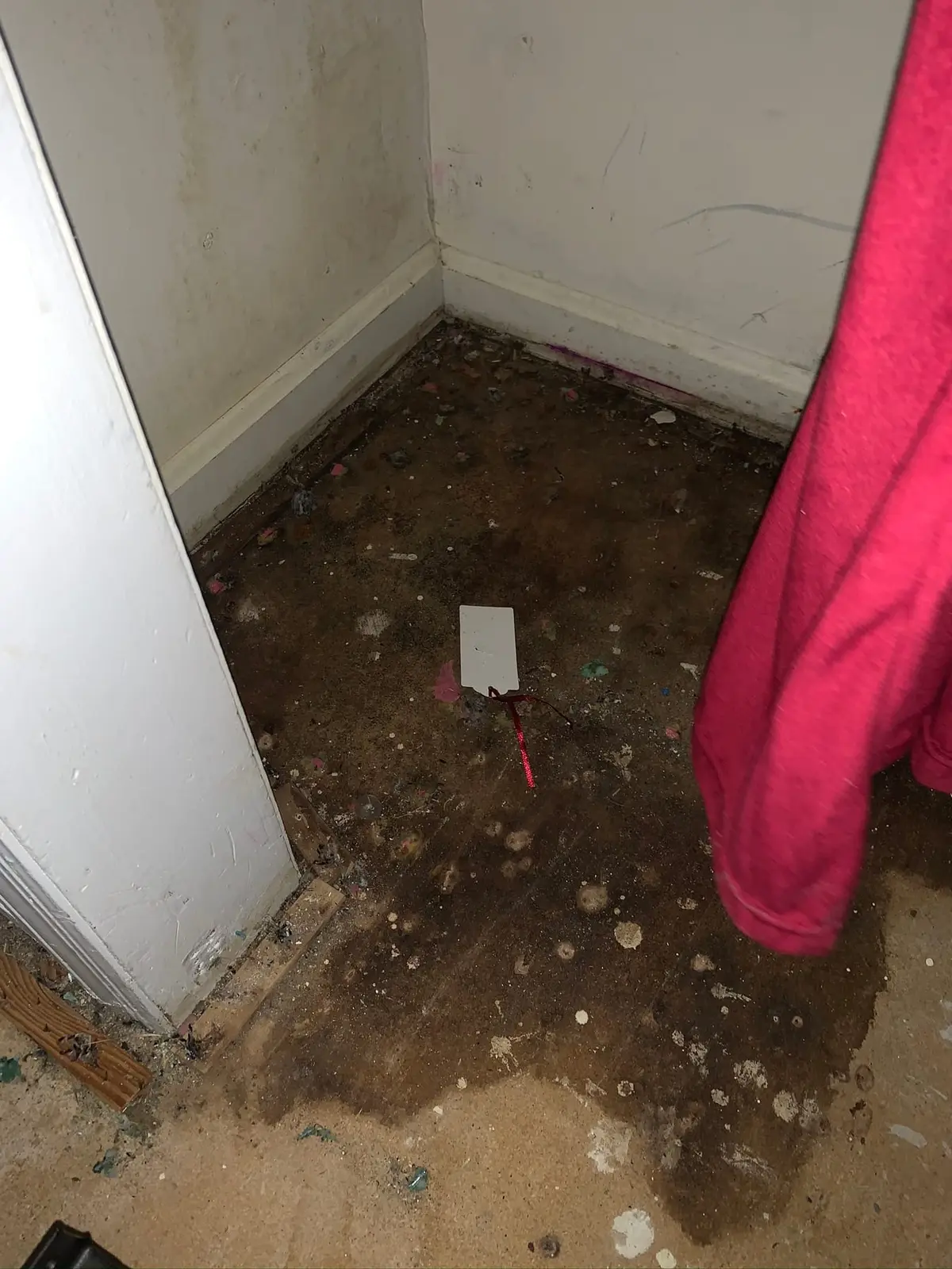 Whole-House Wood-Look Plank and Slate-Look Tile — Demo photo 4
