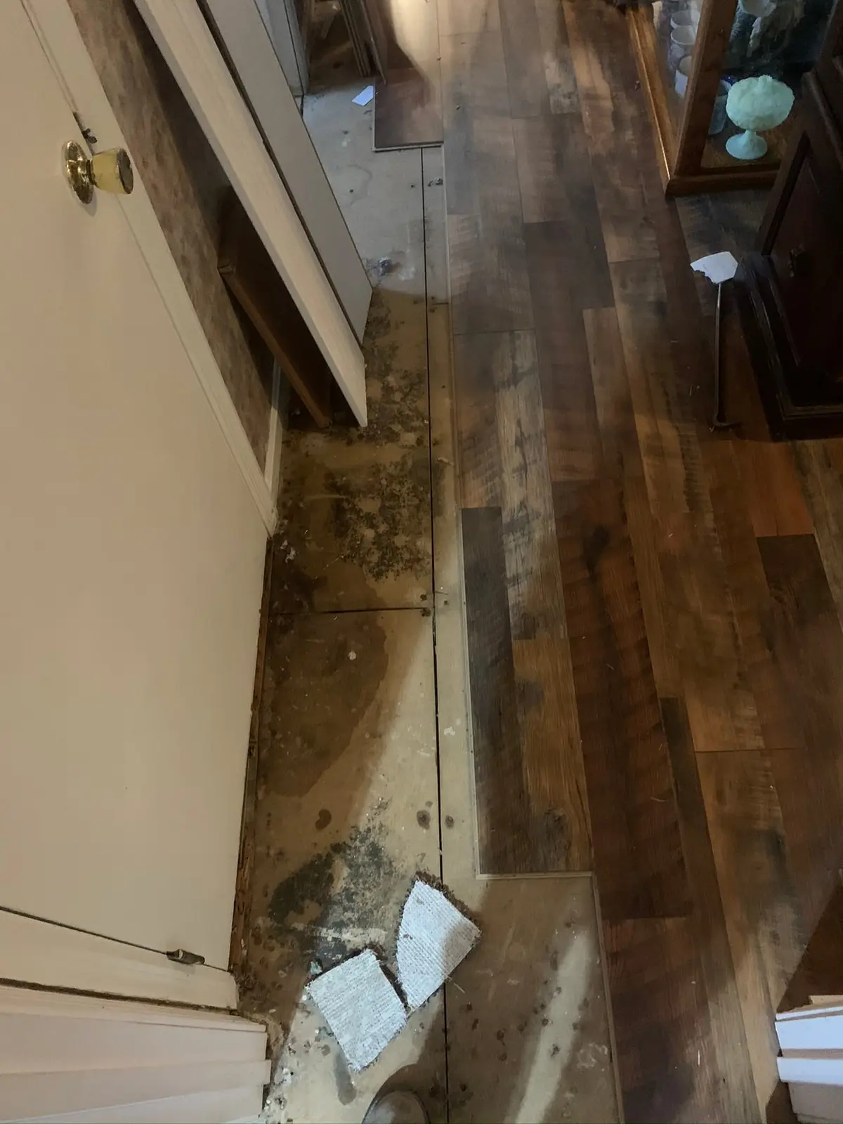 Whole-House Wood-Look Plank and Slate-Look Tile — Progress photo 2