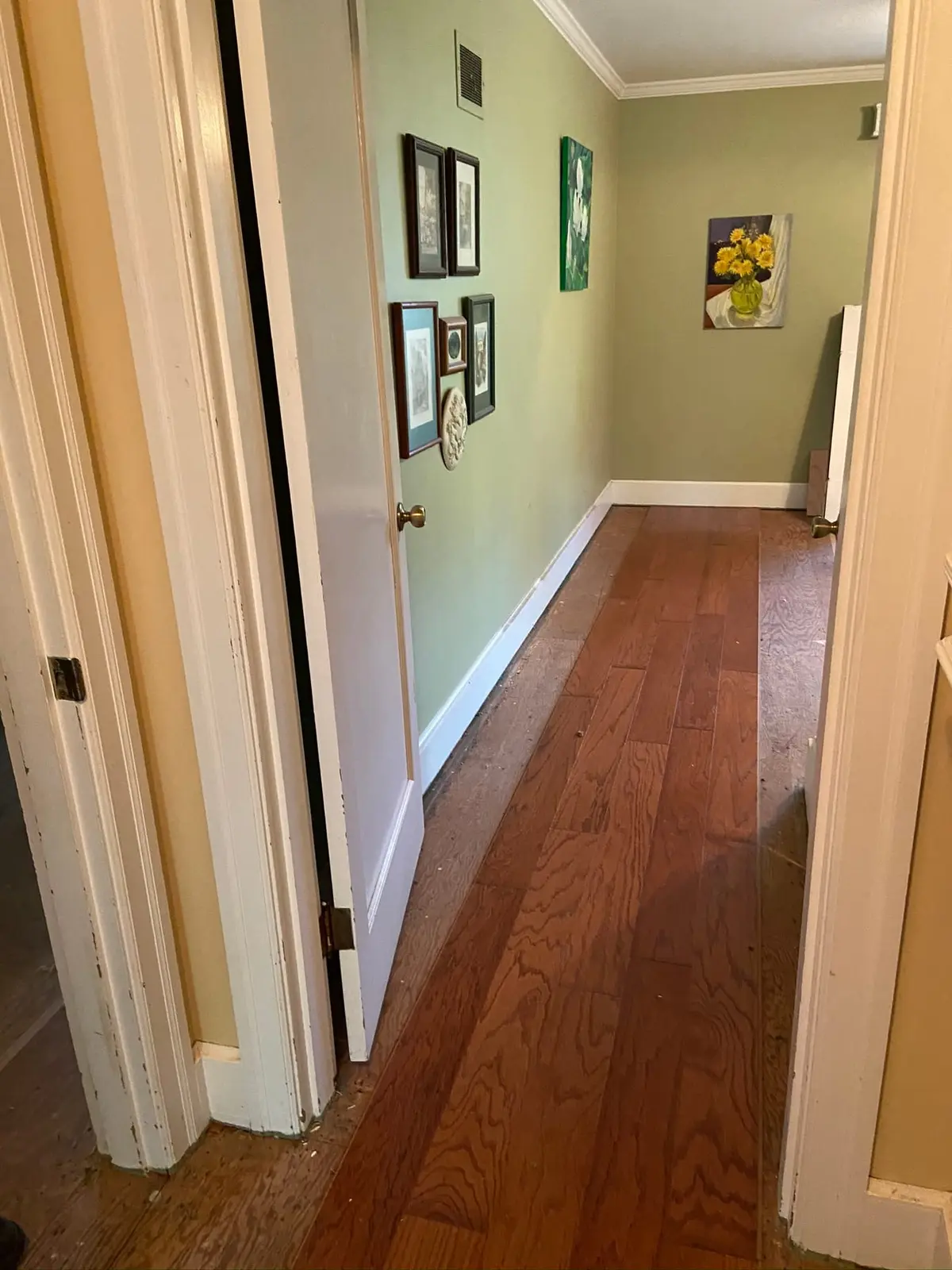 Wood Floors Throughout — Progress photo 1