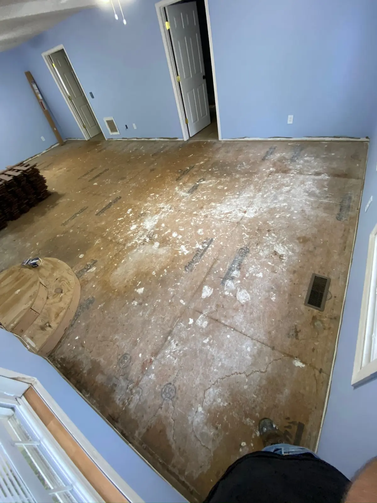 Dark Plank Floor in Blue Room — Demo photo 2