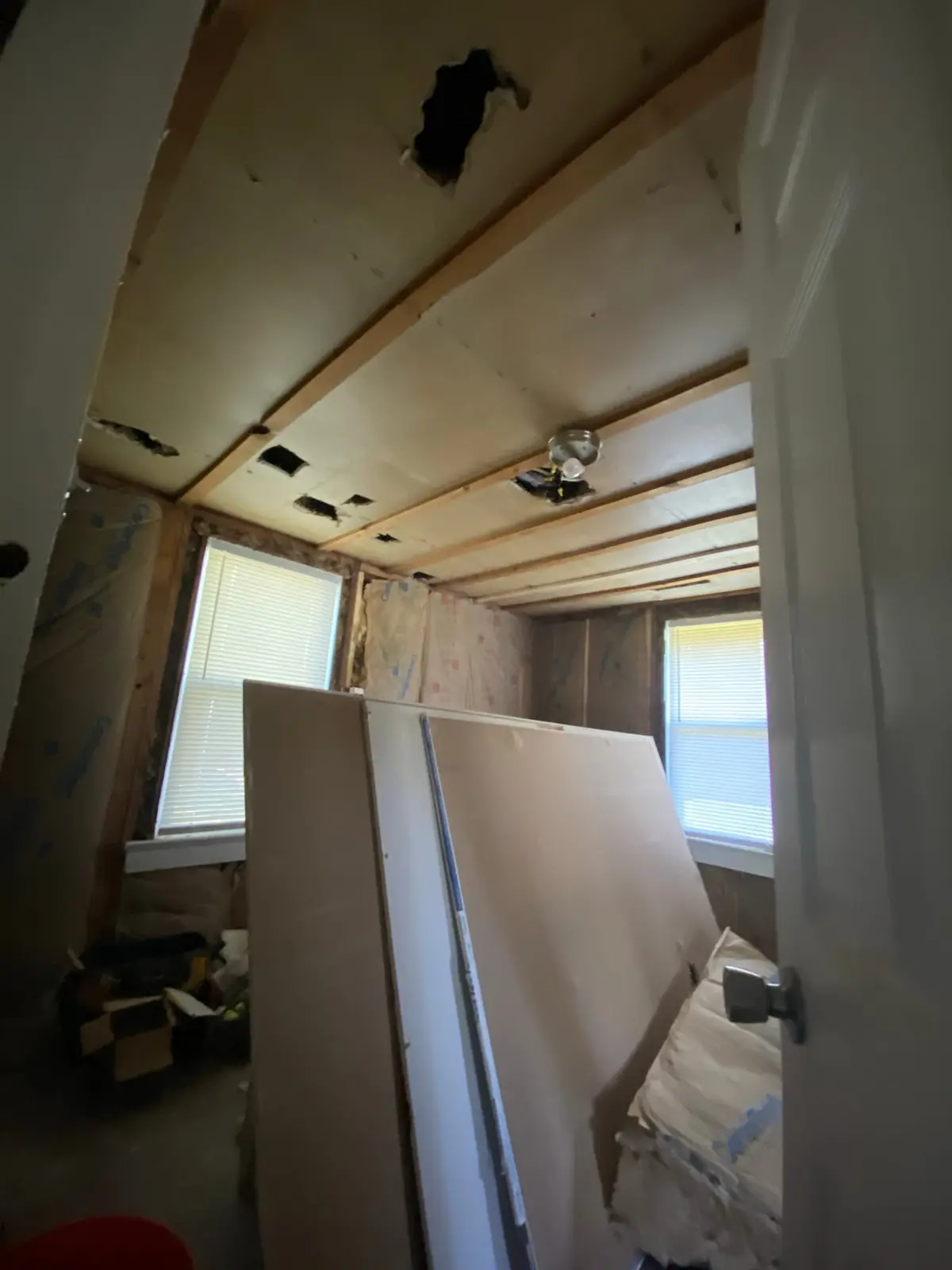 Interior Gut-Out — progress photo 3