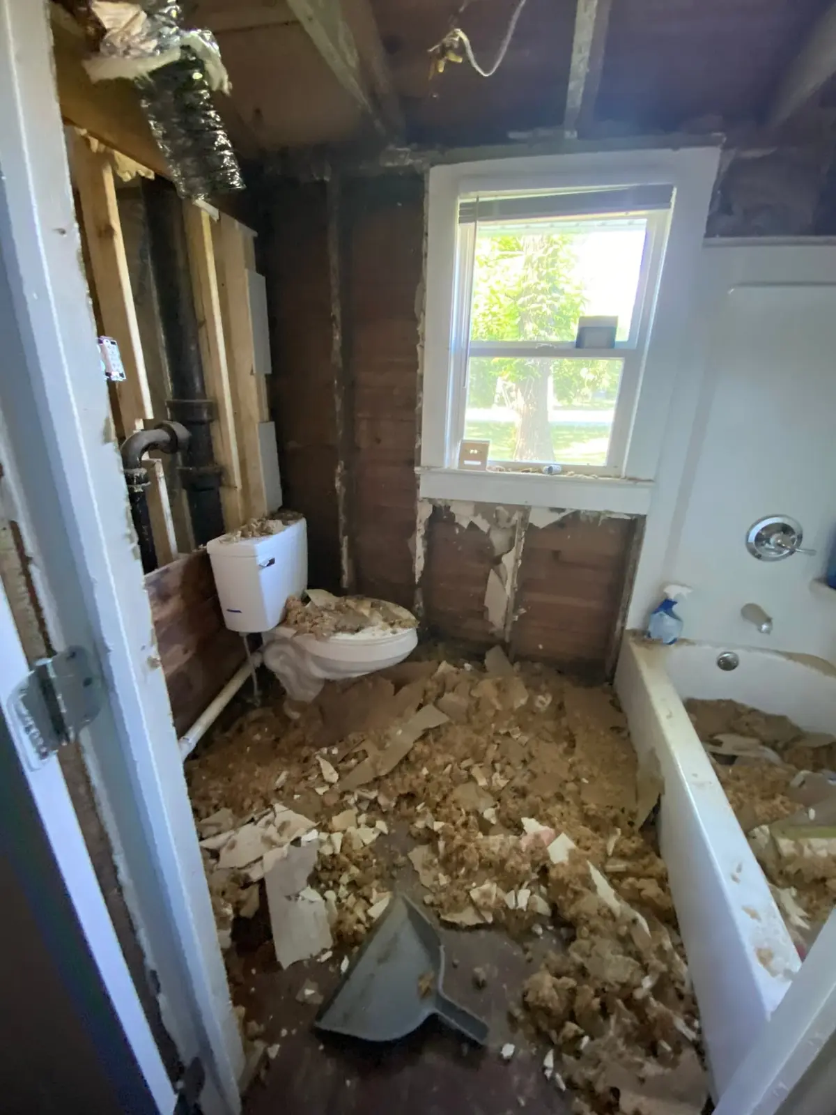 Interior Gut-Out — progress photo 2