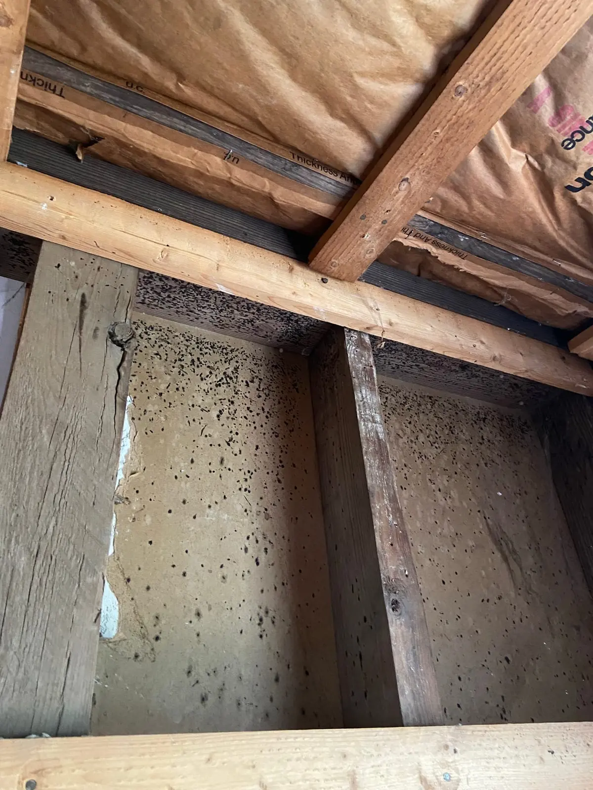 Gutted Ranch House Rebuilt Inside and Out — Demo photo 1