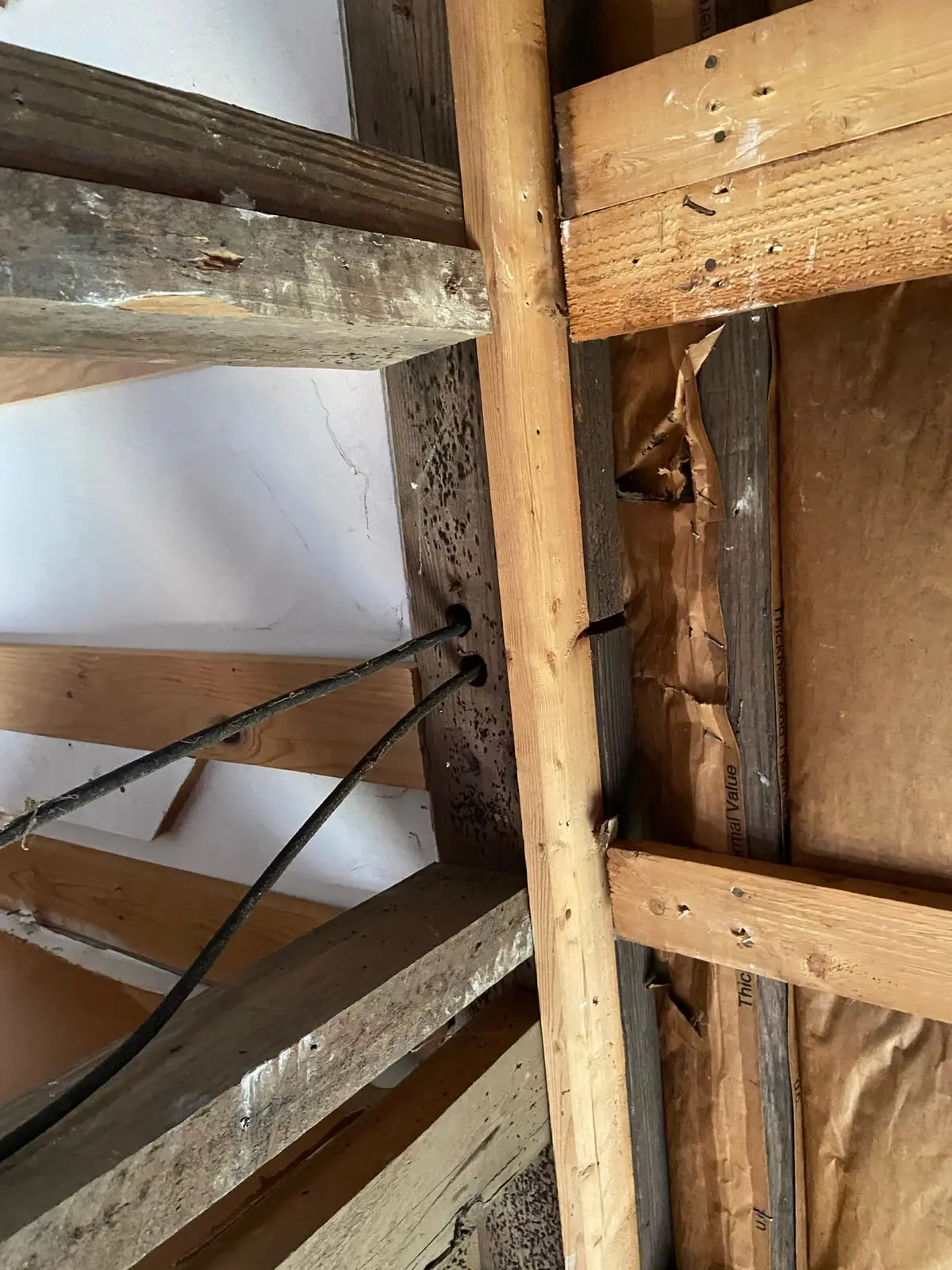 Gutted Ranch House Rebuilt Inside and Out — Demo photo 2