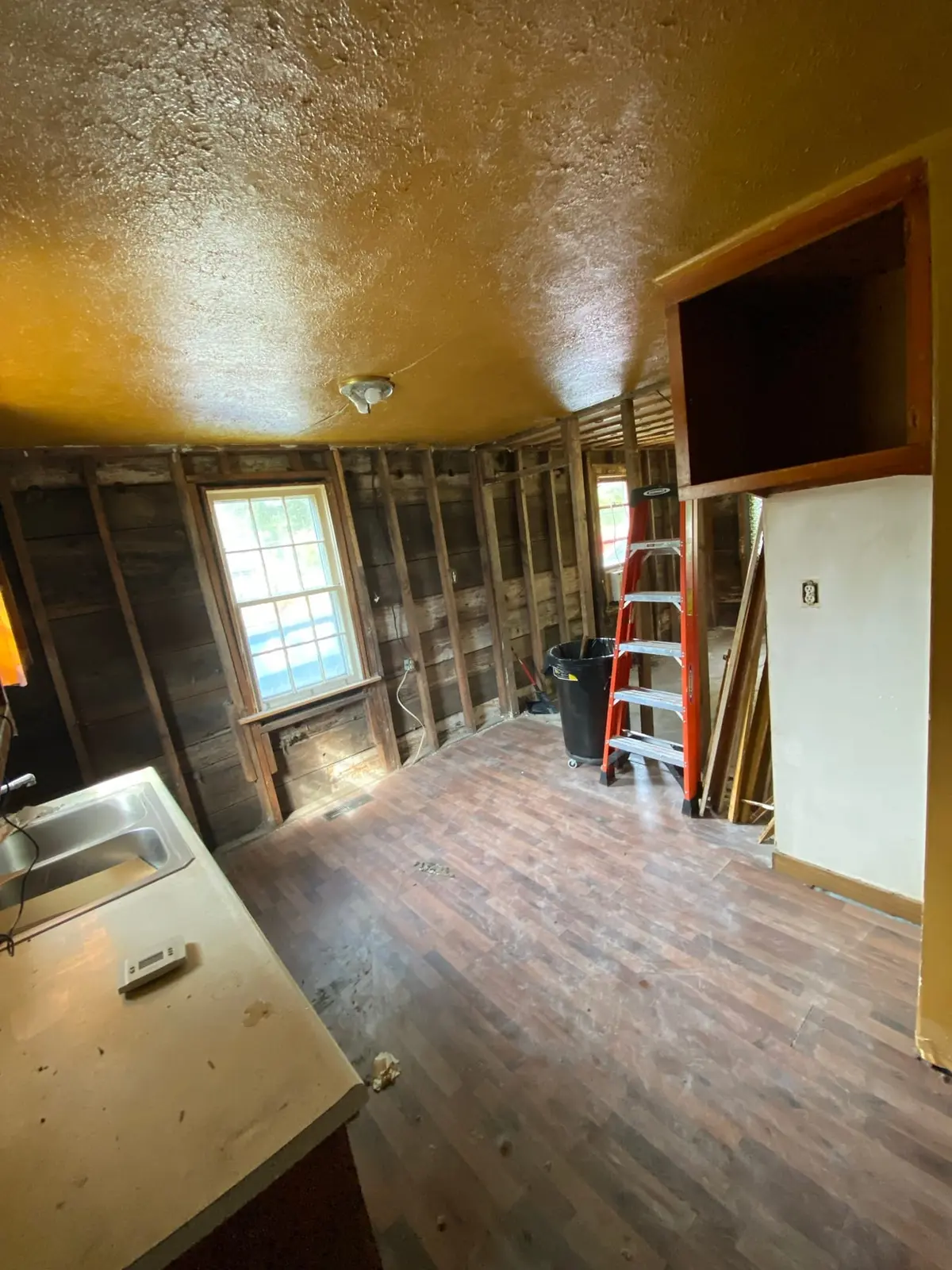 Gutted Ranch House Rebuilt Inside and Out — Demo photo 9