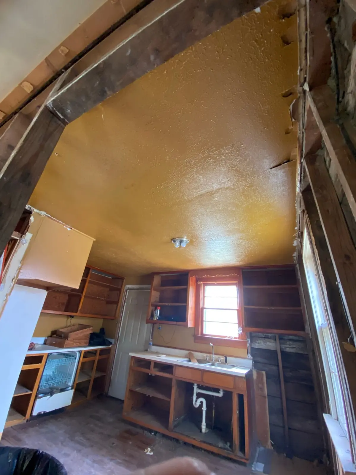 Gutted Ranch House Rebuilt Inside and Out — Demo photo 10