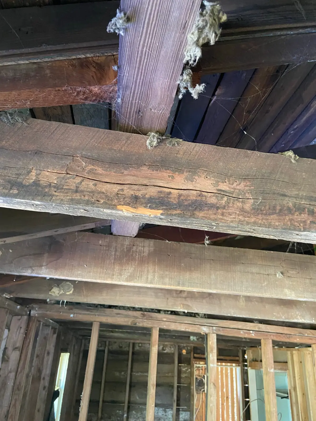 Gutted Ranch House Rebuilt Inside and Out — Demo photo 58