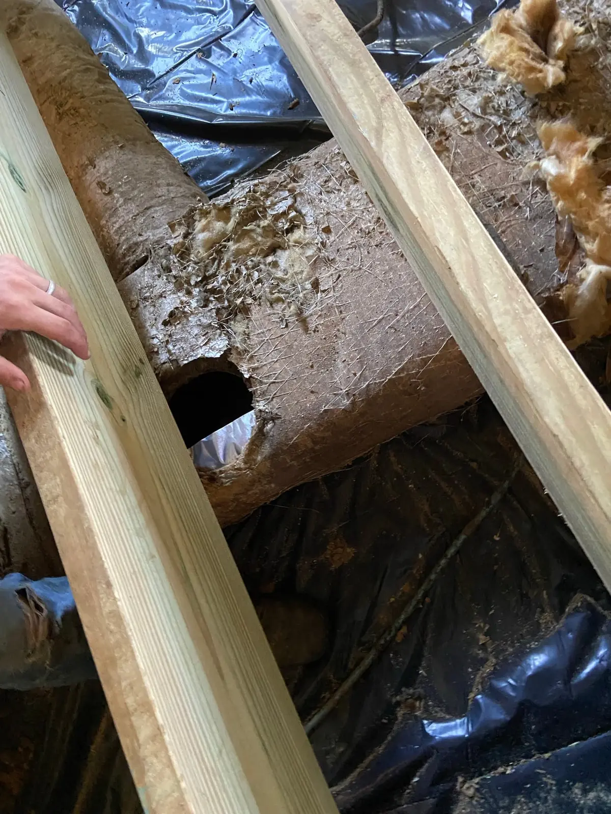 Gutted Ranch House Rebuilt Inside and Out — Progress photo 13