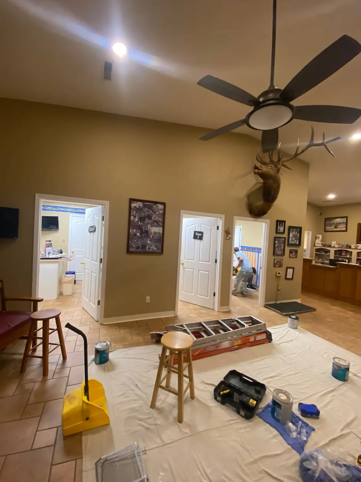 Animal Clinic Interior Painting