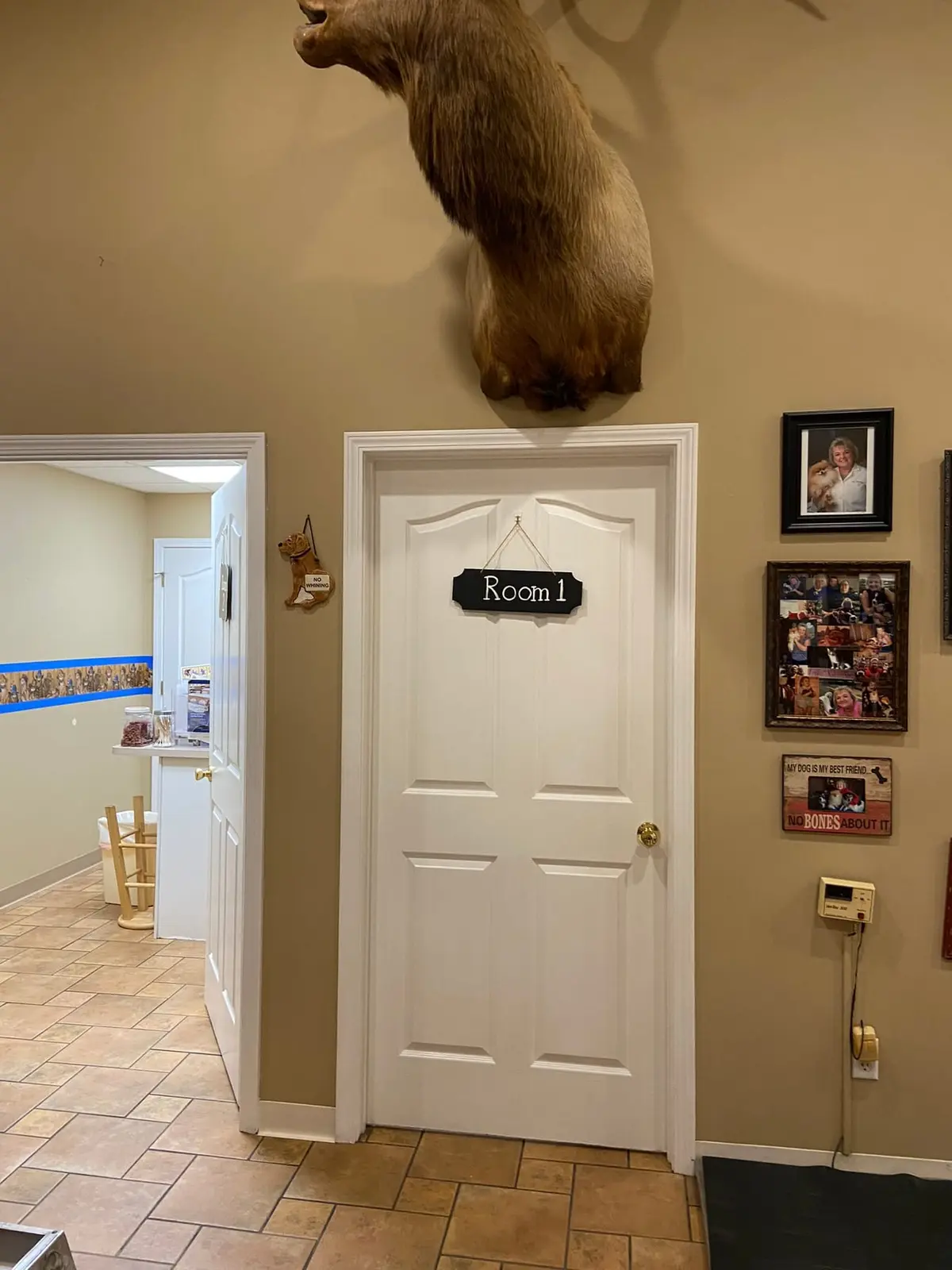 Flannery’s Vet Clinic · Interior Painting — progress photo 5