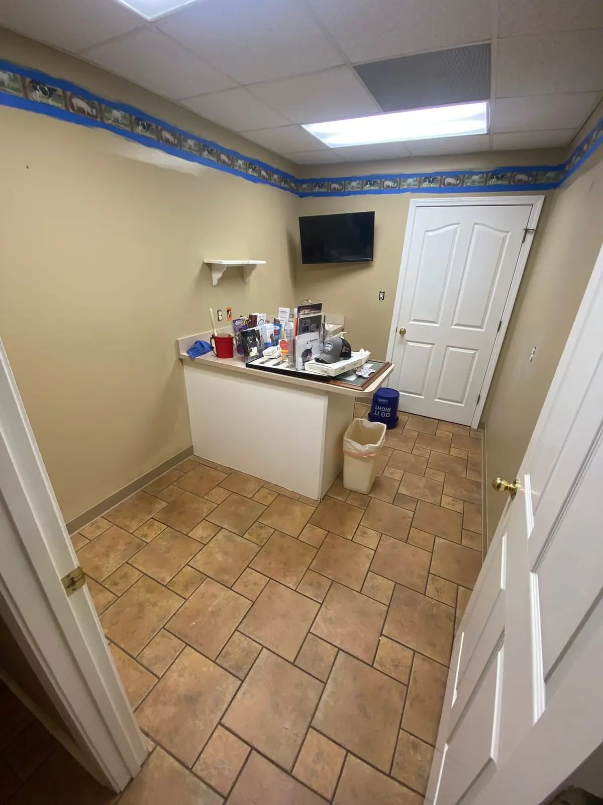 Flannery’s Vet Clinic · Interior Painting — Progress photo 6