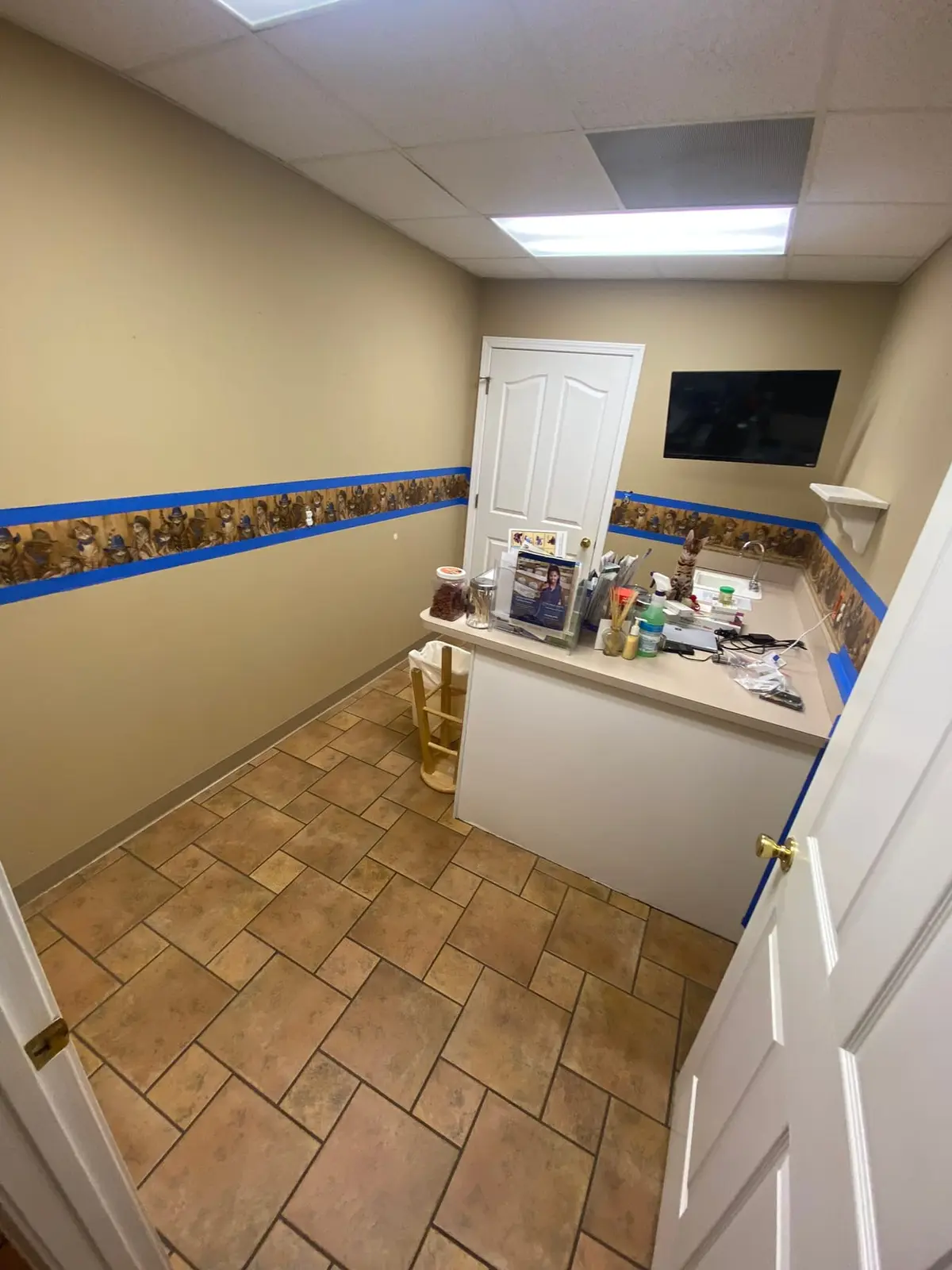 Flannery’s Vet Clinic · Interior Painting — Progress photo 7
