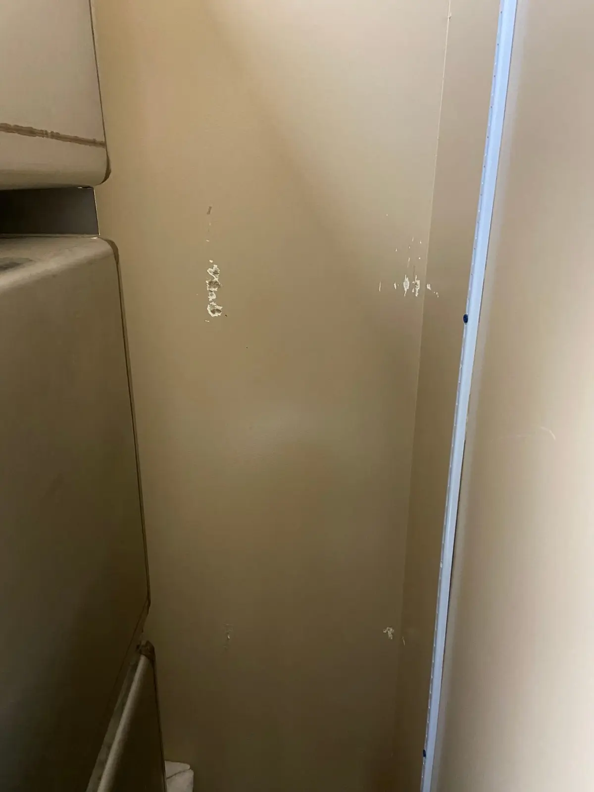 Flannery’s Vet Clinic · Interior Painting — progress photo 1