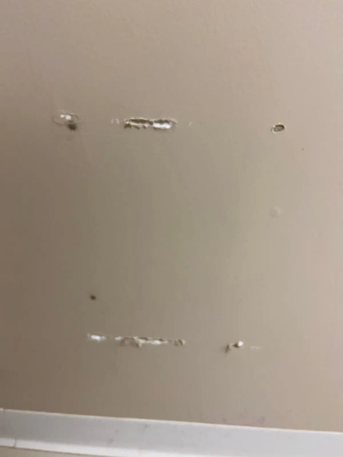 Flannery’s Vet Clinic · Interior Painting — Before photo 2
