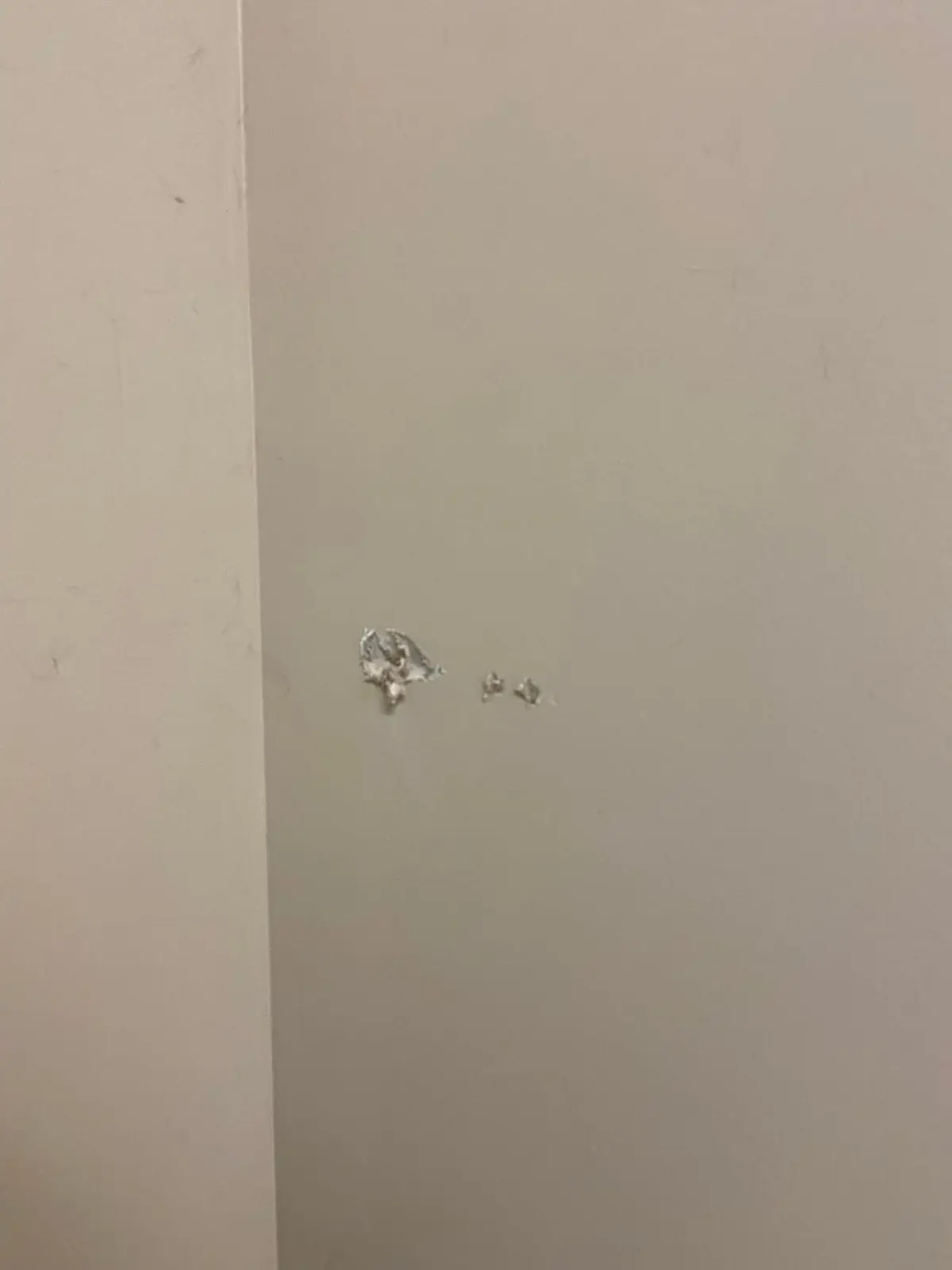 Flannery’s Vet Clinic · Interior Painting — Before photo 3