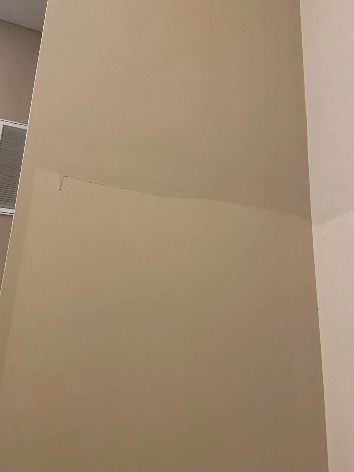 Flannery’s Vet Clinic · Interior Painting — Before photo 4