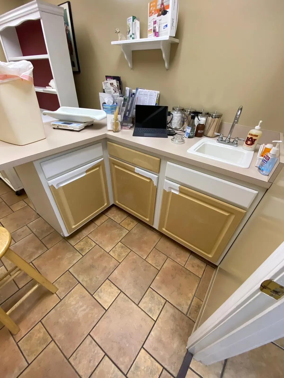 Flannery’s Vet Clinic · Interior Painting — Progress photo 9