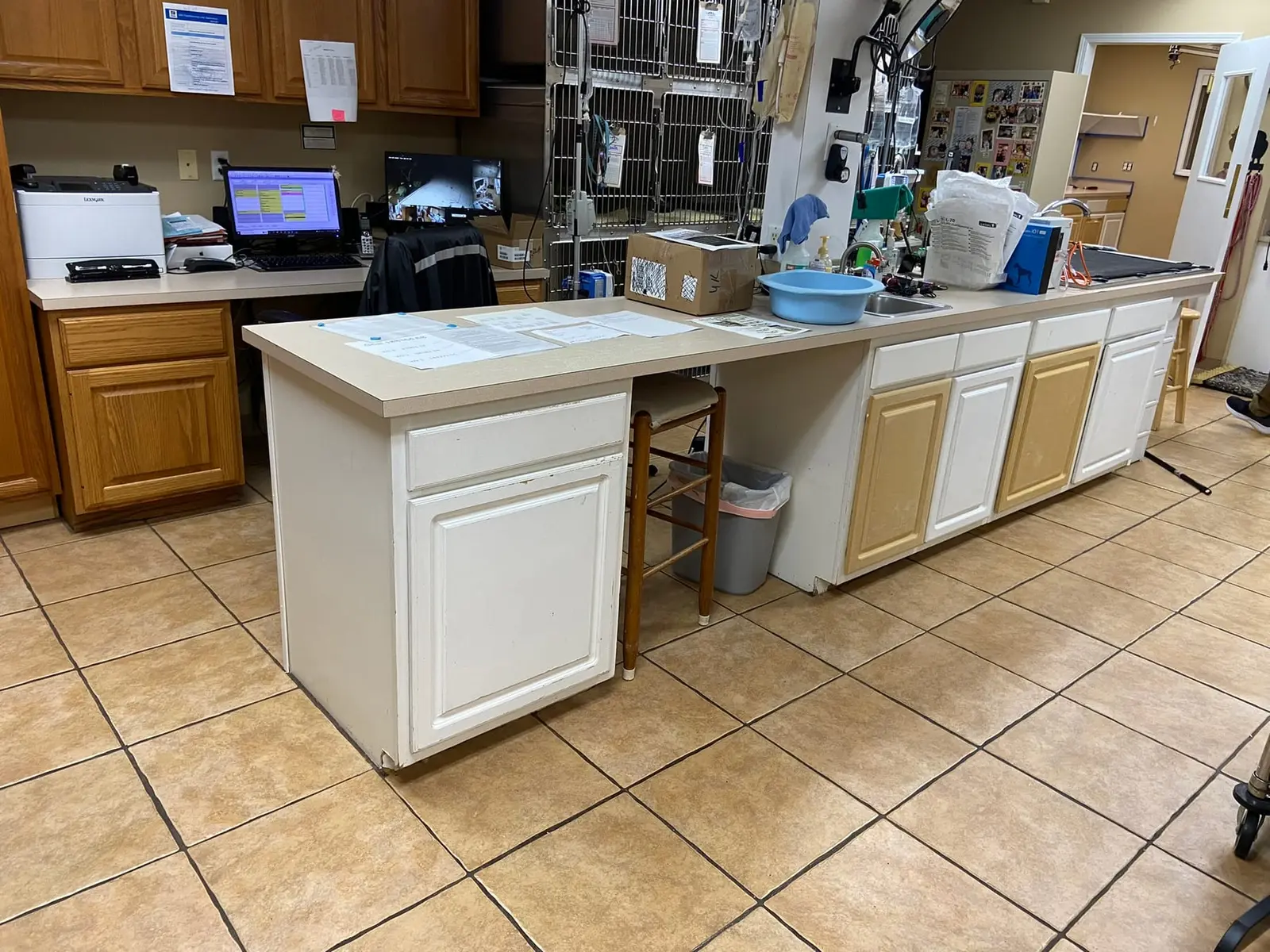Flannery’s Vet Clinic · Interior Painting — Progress photo 11