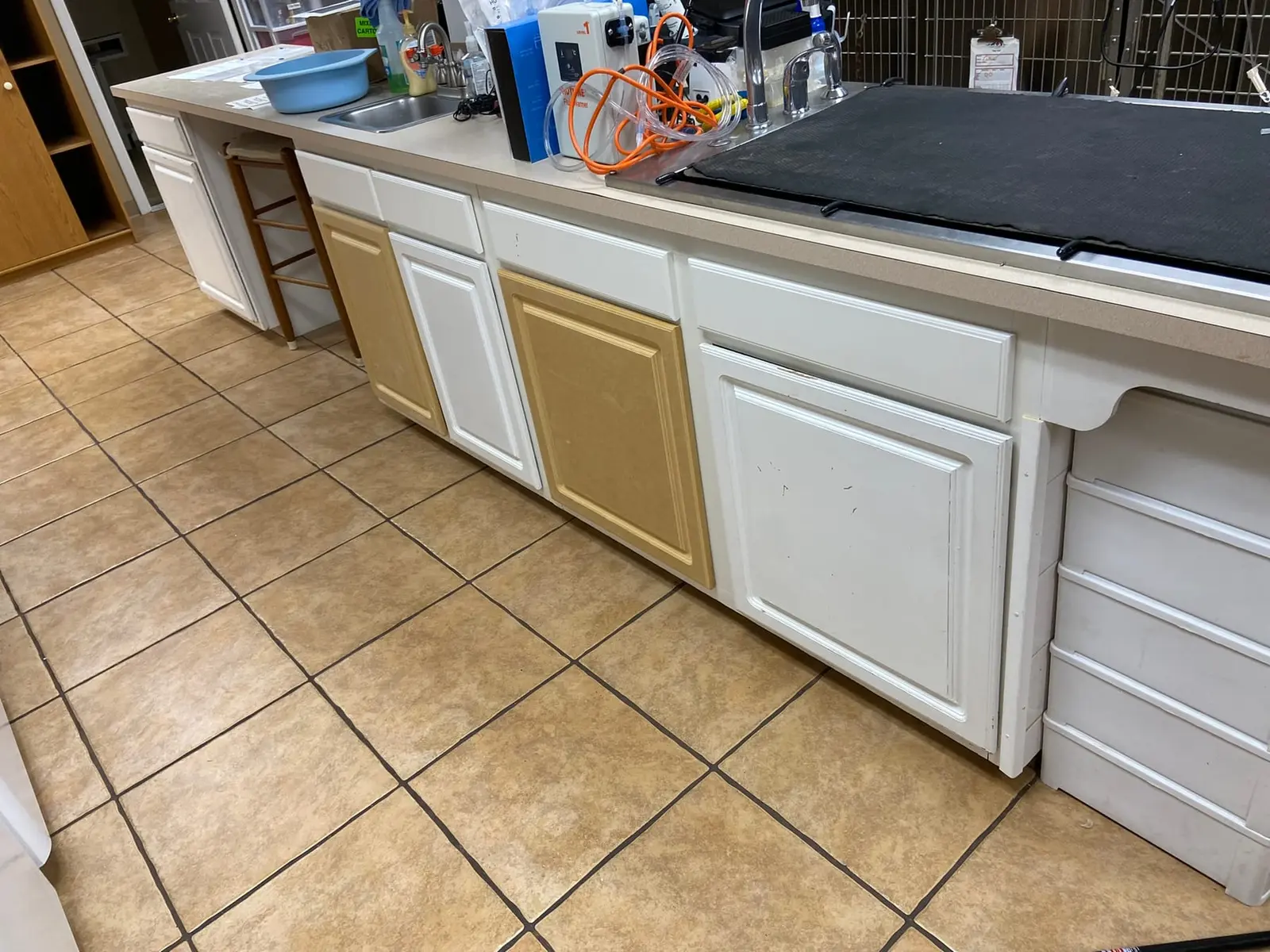 Flannery’s Vet Clinic · Interior Painting — Progress photo 12