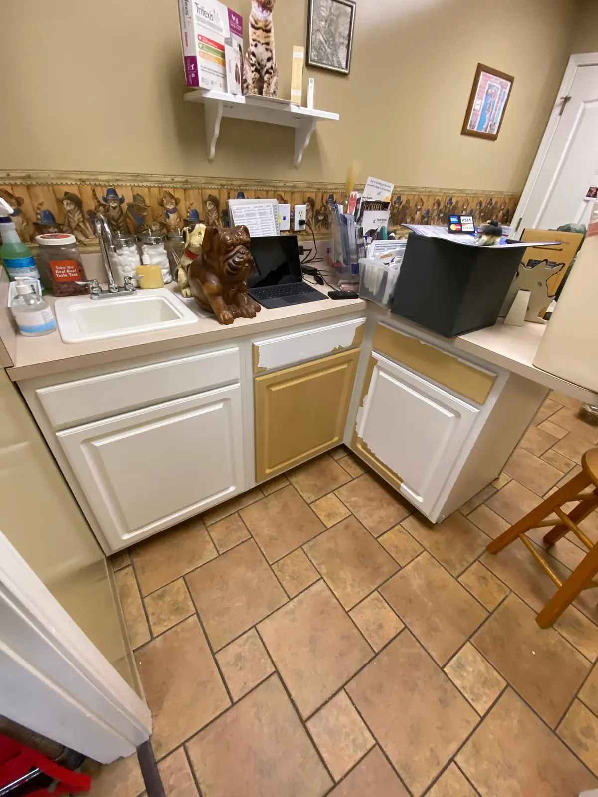 Flannery’s Vet Clinic · Interior Painting — Progress photo 15