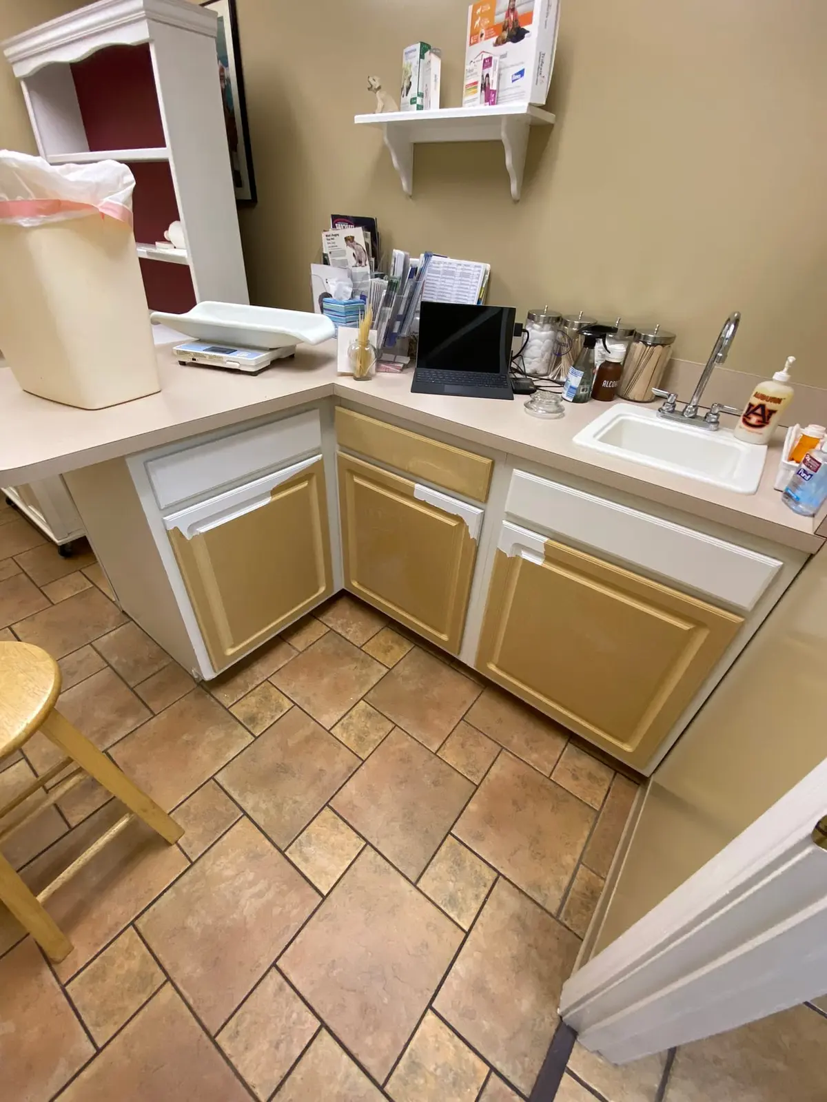 Flannery’s Vet Clinic · Interior Painting — progress photo 7