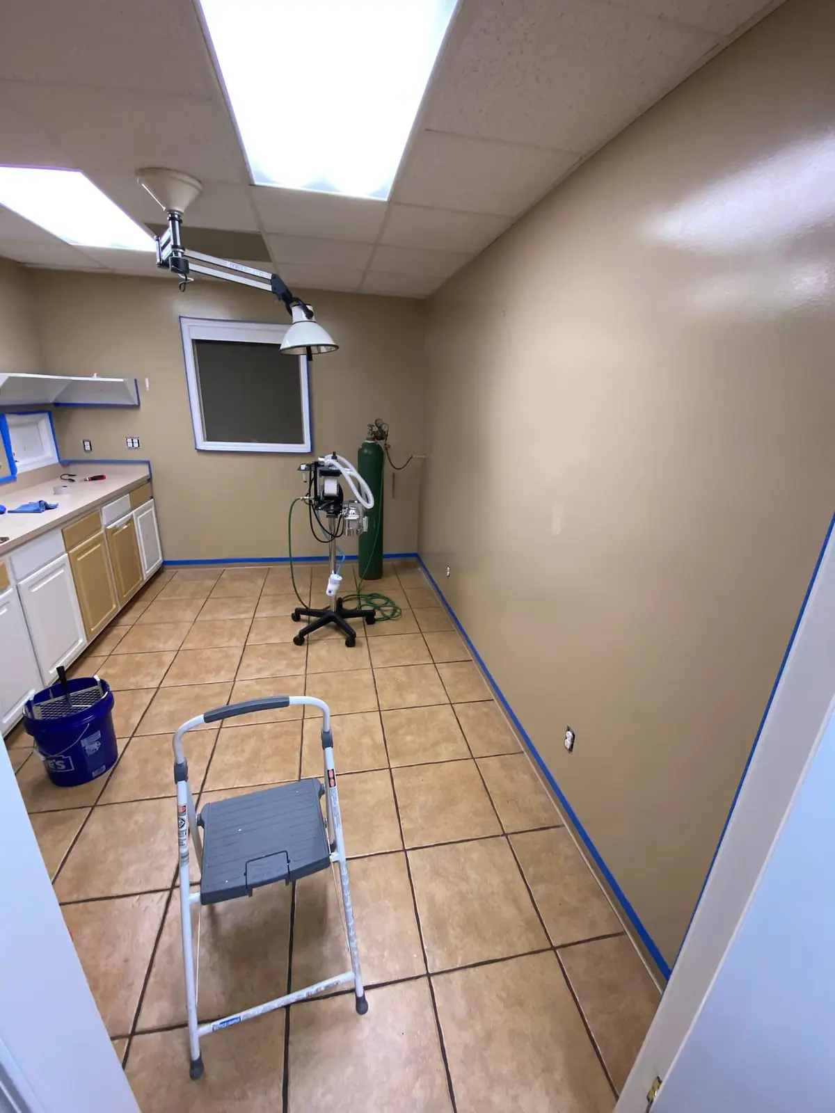 Flannery’s Vet Clinic · Interior Painting — Progress photo 17