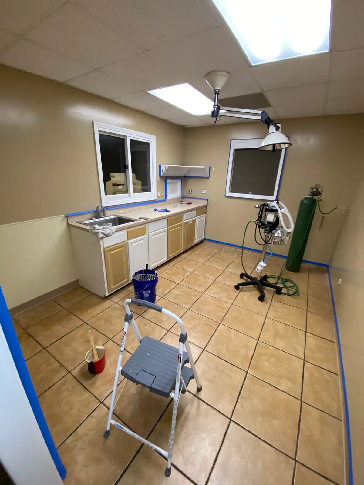 Flannery’s Vet Clinic · Interior Painting — Progress photo 18