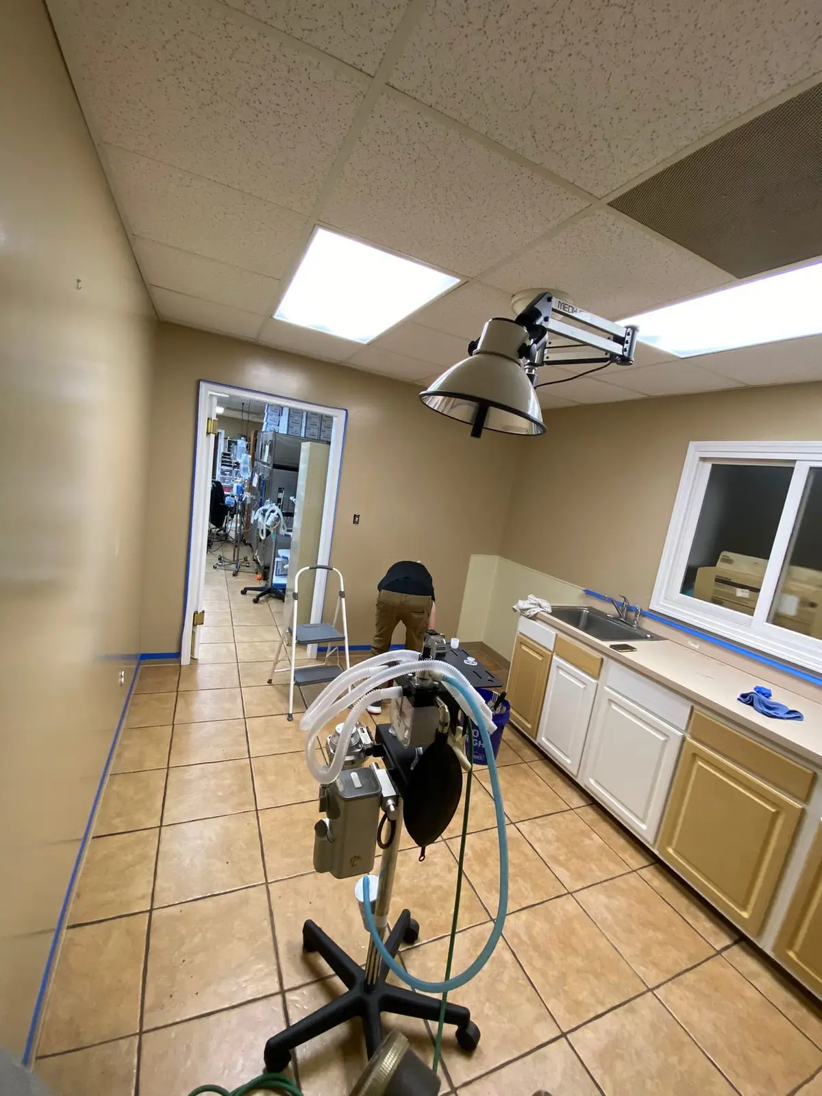 Flannery’s Vet Clinic · Interior Painting — progress photo 4