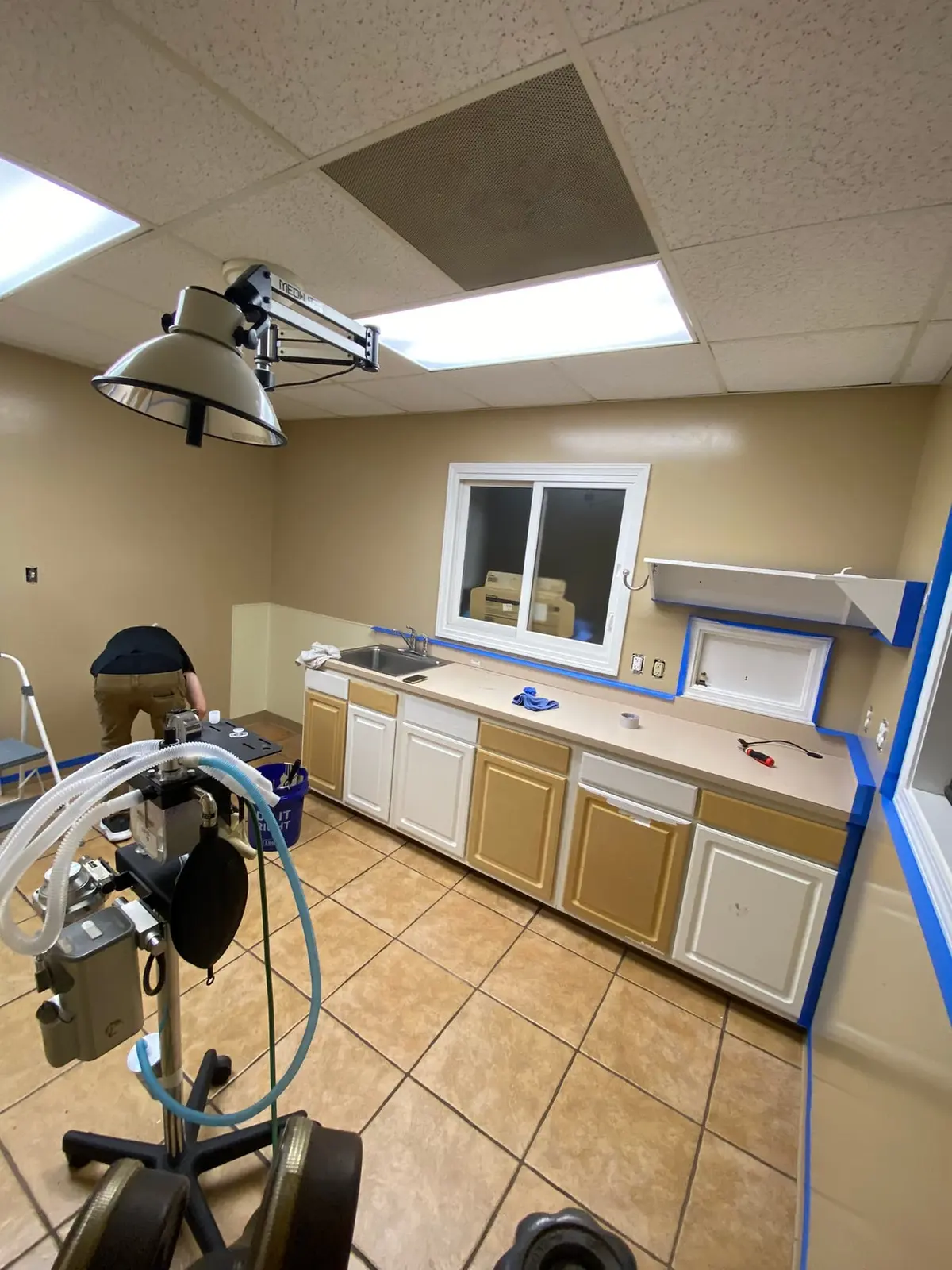 Flannery’s Vet Clinic · Interior Painting — Progress photo 19