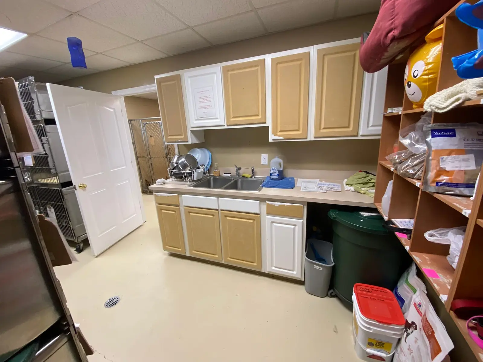 Flannery’s Vet Clinic · Interior Painting — Progress photo 20