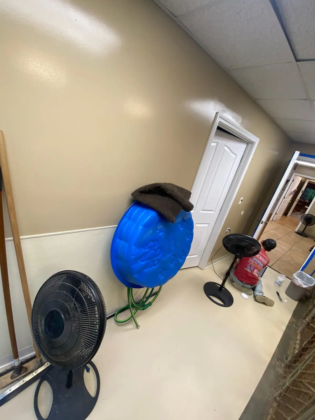 Flannery’s Vet Clinic · Interior Painting — Progress photo 21