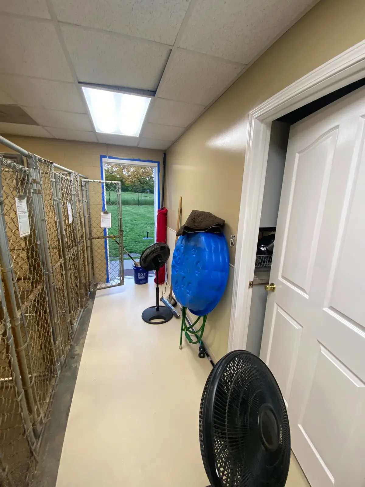 Flannery’s Vet Clinic · Interior Painting — progress photo 6