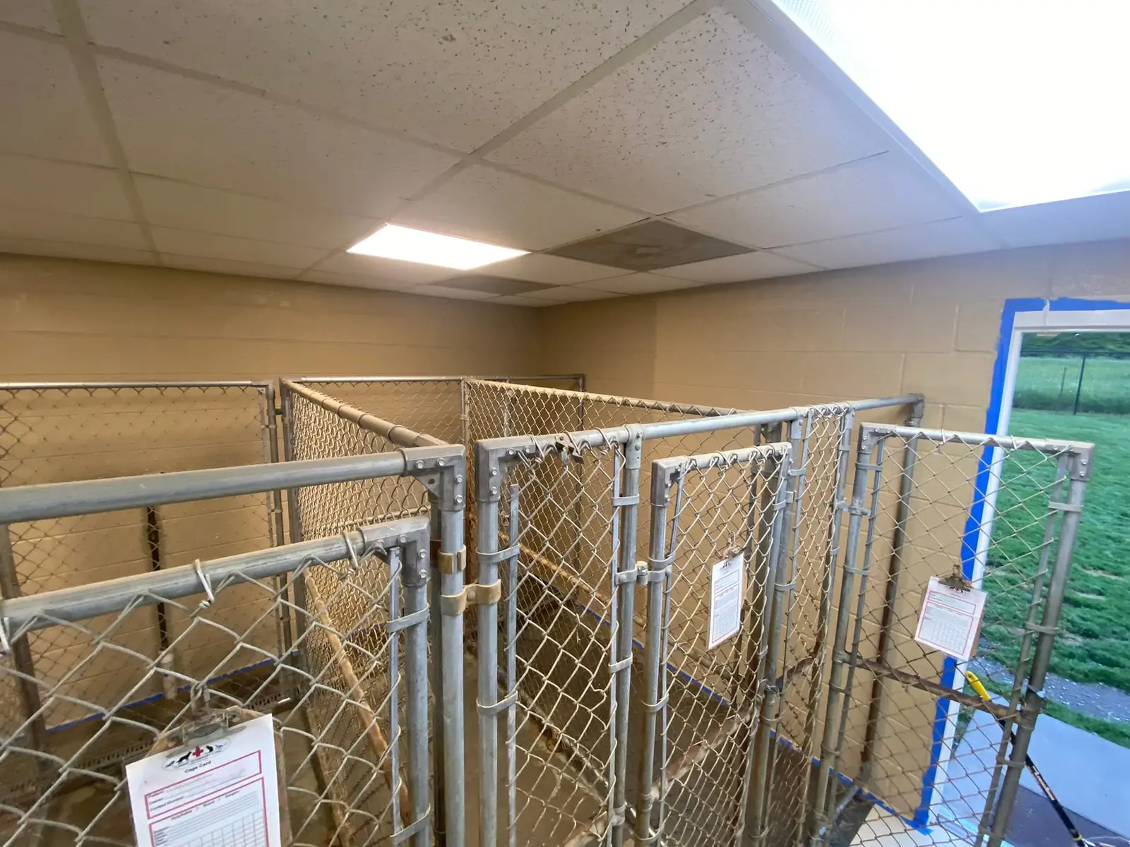 Flannery’s Vet Clinic · Interior Painting — Progress photo 22