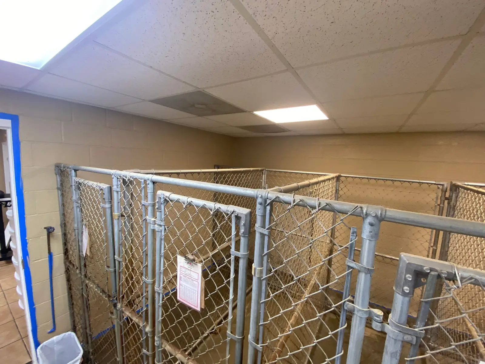 Flannery’s Vet Clinic · Interior Painting — Progress photo 23