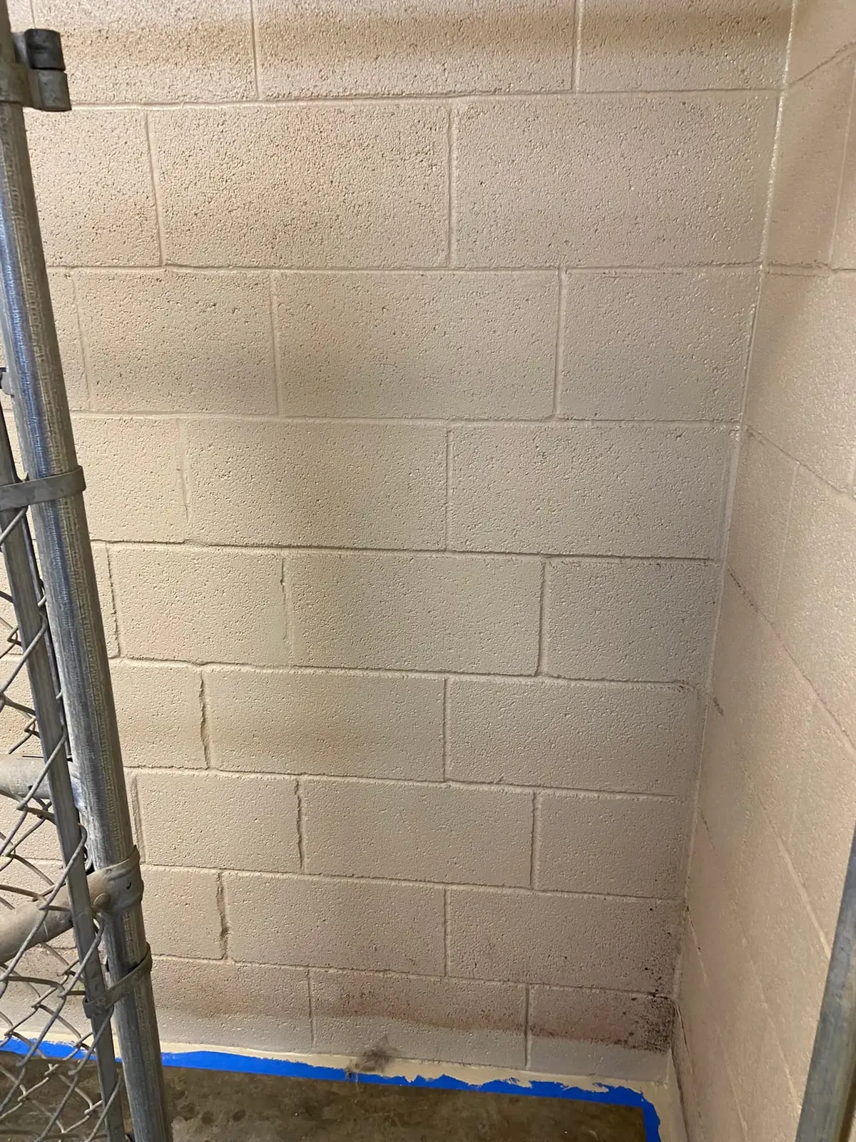 Flannery’s Vet Clinic · Interior Painting — Progress photo 24