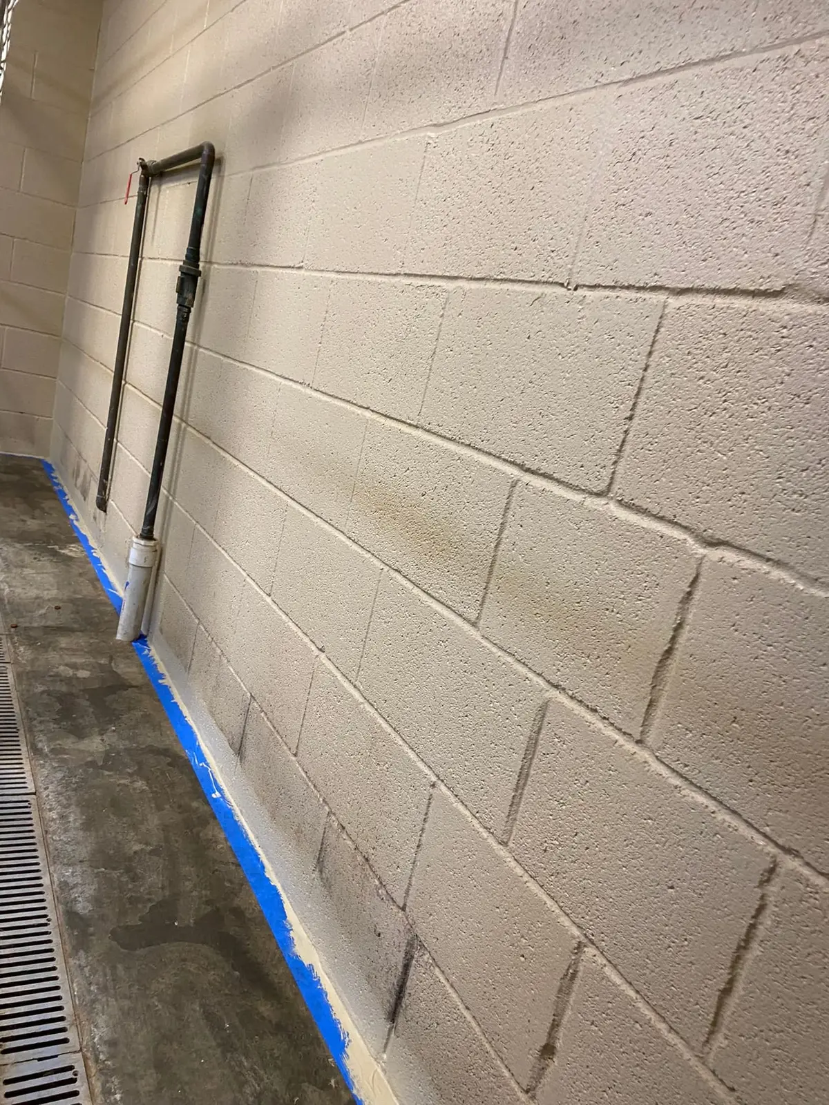 Flannery’s Vet Clinic · Interior Painting — Progress photo 25