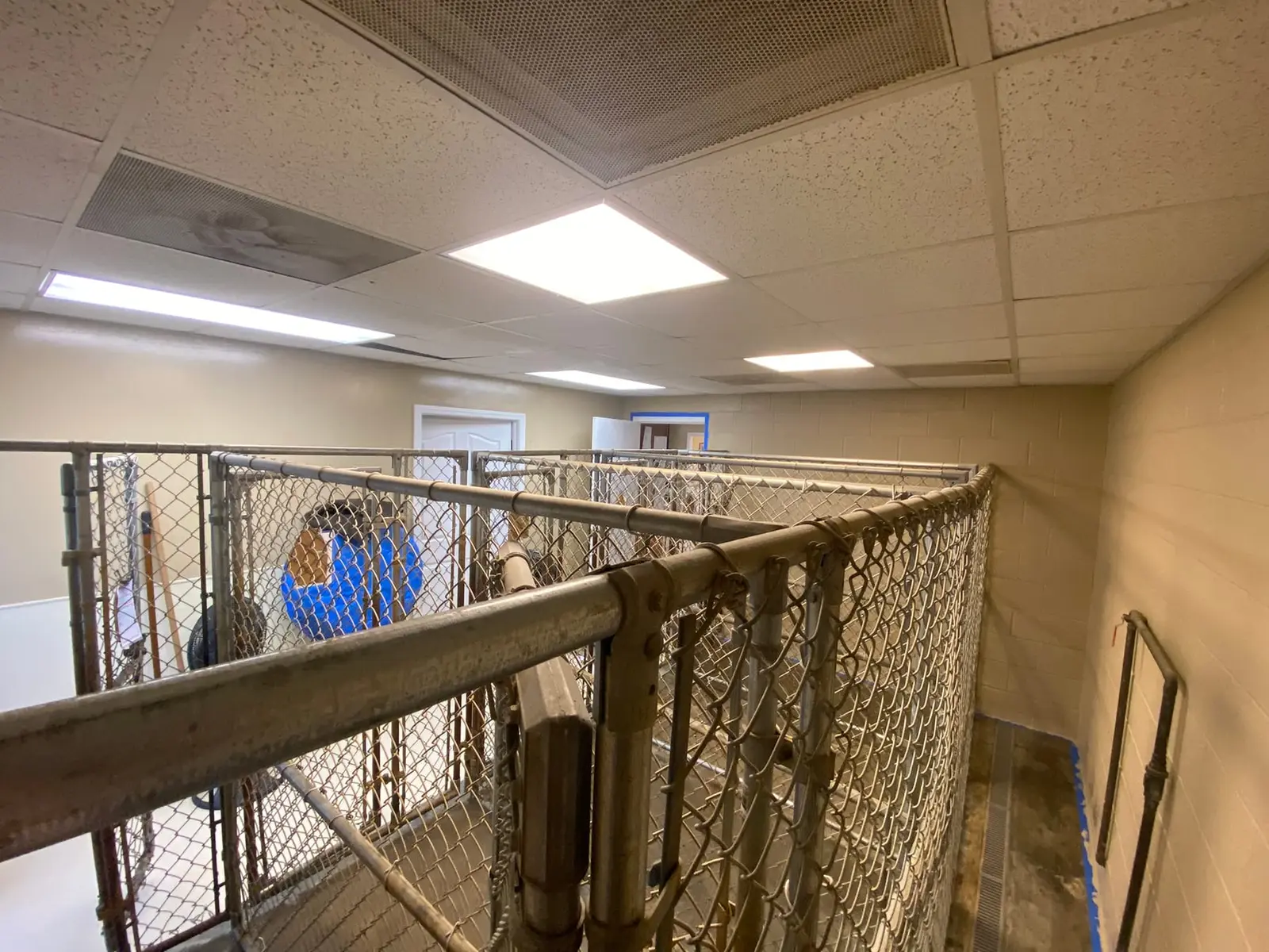 Flannery’s Vet Clinic · Interior Painting — Progress photo 26