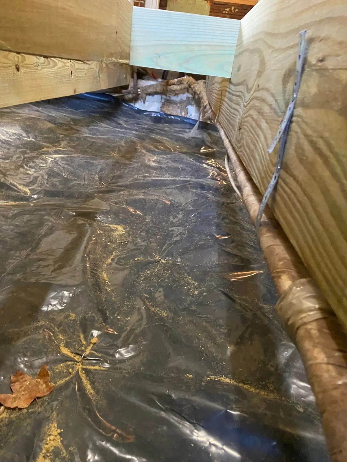 Floor Joist and Subfloor Rebuild, Brick-Wall Room — Progress photo 2