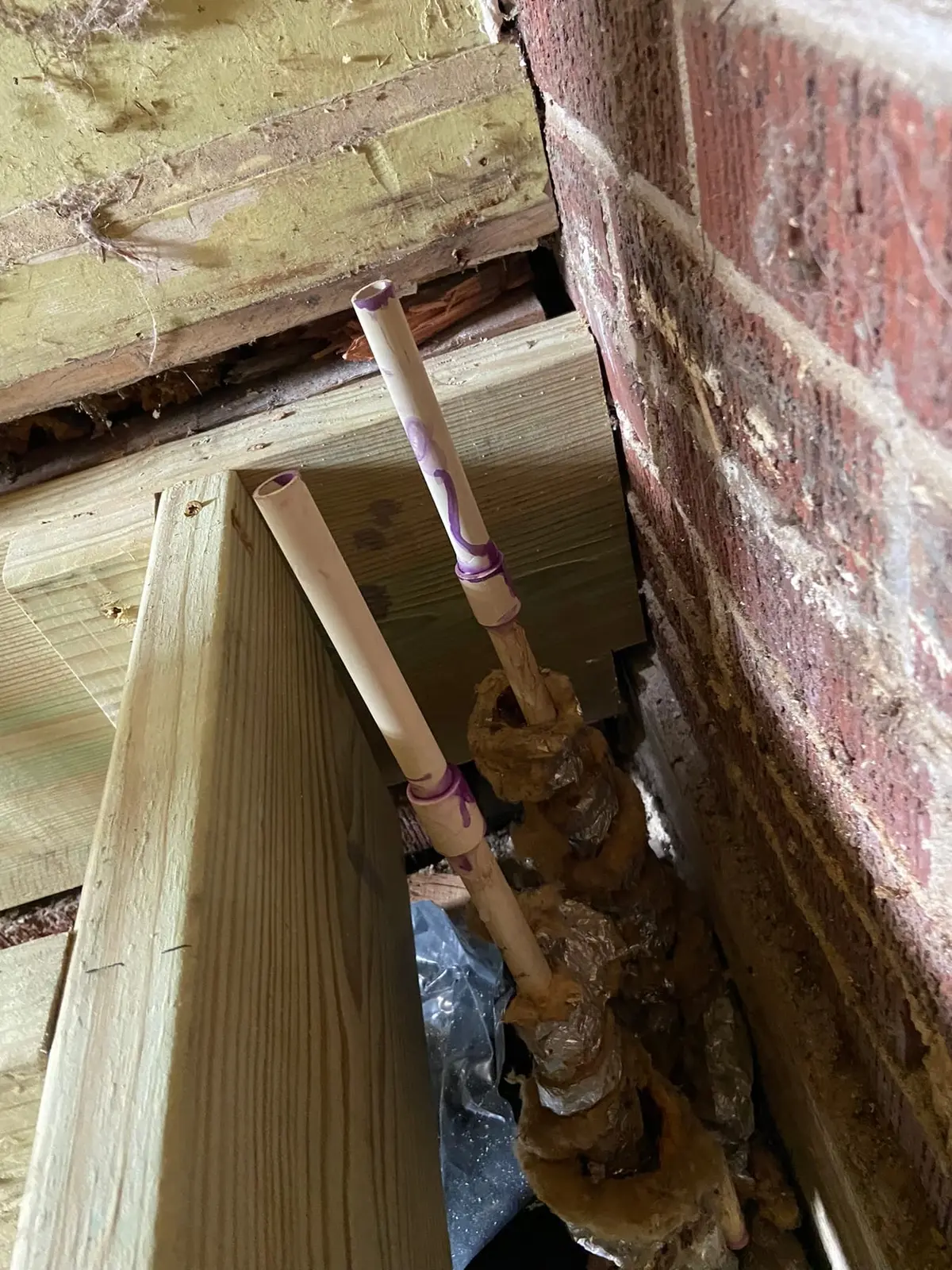 Floor Joist and Subfloor Rebuild, Brick-Wall Room — Progress photo 3
