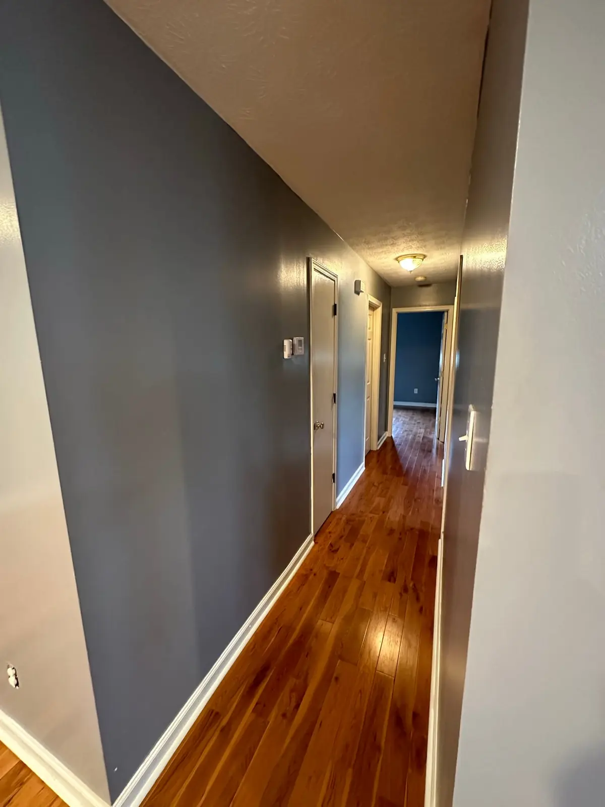 Navy Blue Interior Repaint — Before photo 3