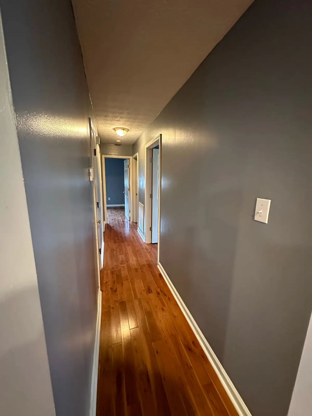 Navy Blue Interior Repaint — Before photo 4