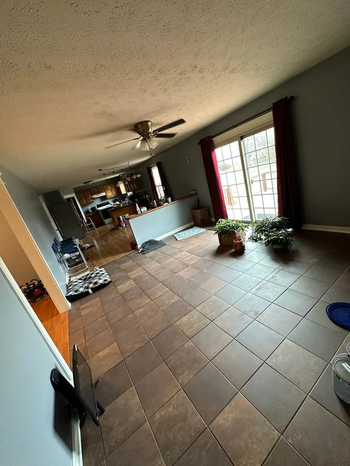 Navy Blue Interior Repaint — Before photo 5