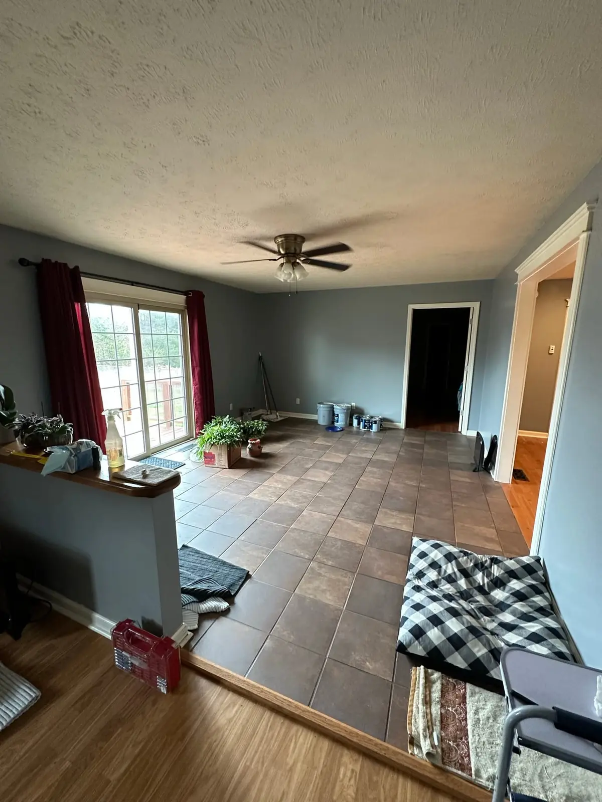 Navy Blue Interior Repaint — Before photo 8