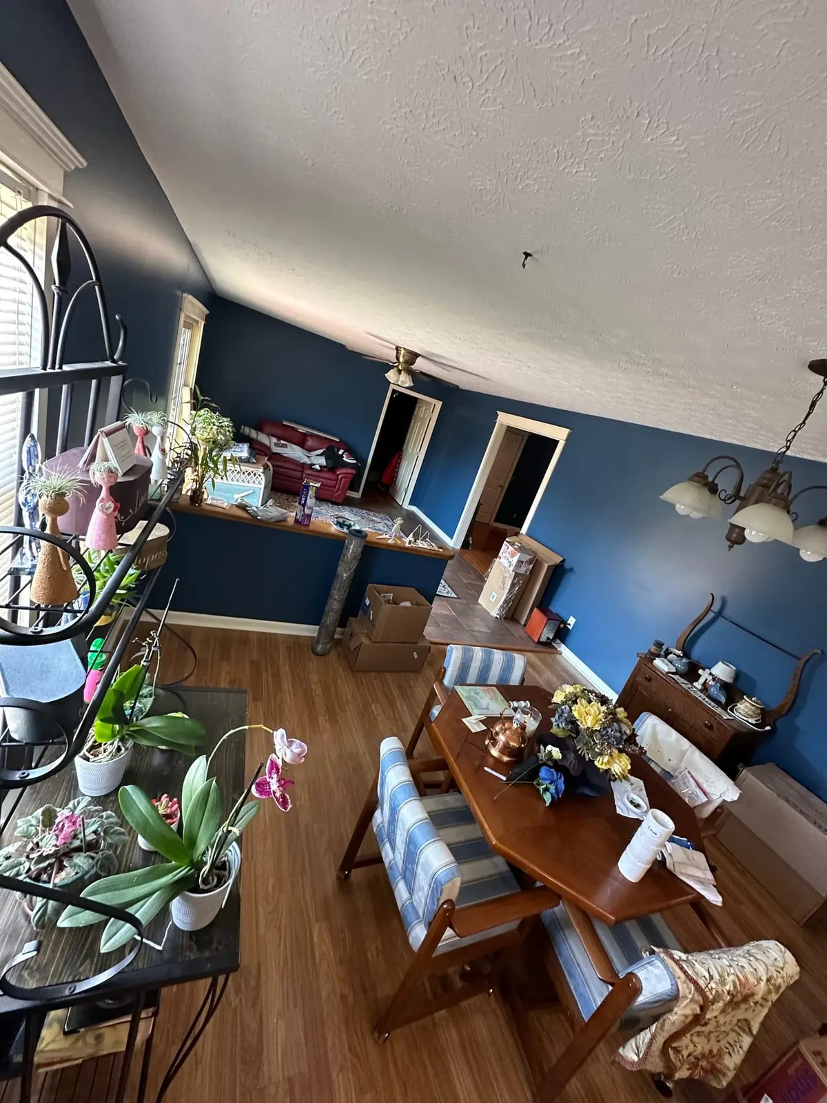 Navy Blue Interior Repaint — finished photo 2