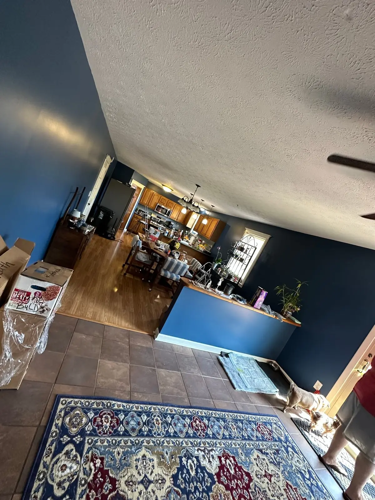 Navy Blue Interior Repaint — finished photo 4