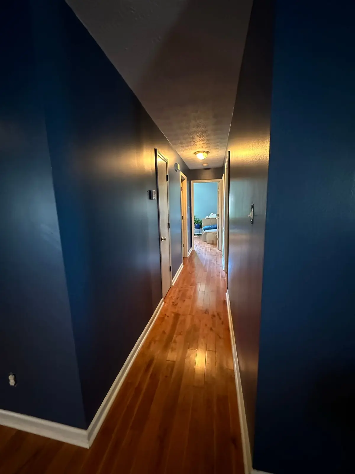 Navy Blue Interior Repaint — finished photo 3