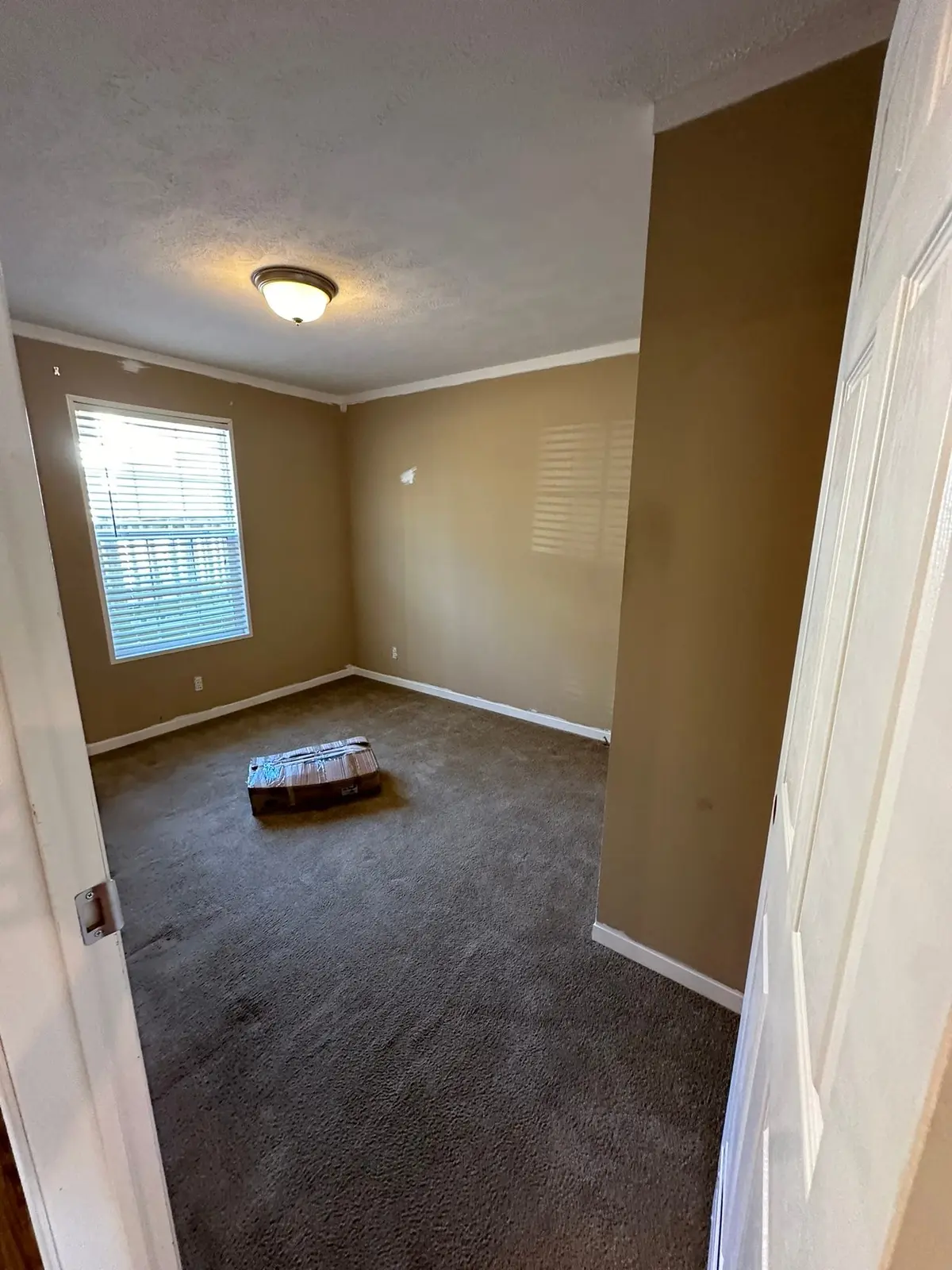Bedrooms Carpet Replaced with Wood-Look Floor — Before photo 3